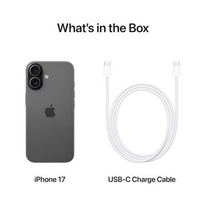 17 Black