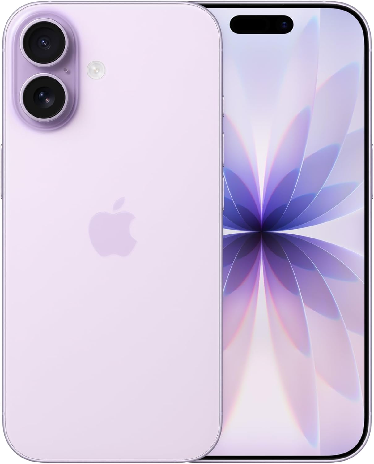 17 Lavender