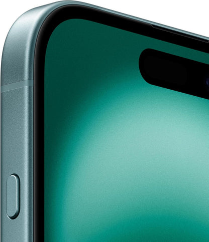 16 Teal